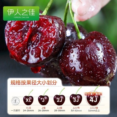 包邮斤美国车厘子2大樱桃礼盒j3j4j5整箱3进口孕妇新鲜水果当季 2件图4