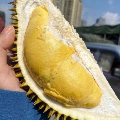 批发带壳榴莲整个水果整果巴掌非一无猫王金枕金枕头榴莲新鲜泰甜 1件图5