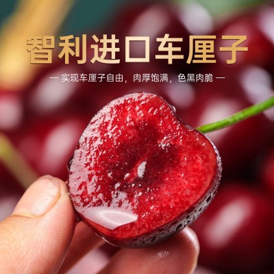 进口智利车厘子特大果鲜果礼盒装樱桃孕妇应季新鲜水果4j5j10包邮 1斤
