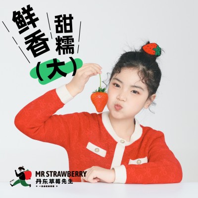 丹东草莓先生马家岗秸秆99奶油新鲜红颜大果东港九九牛奶礼盒装 1件图2