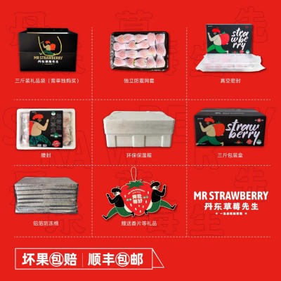 丹东草莓先生马家岗秸秆99奶油新鲜红颜大果东港九九牛奶礼盒装 1件图5