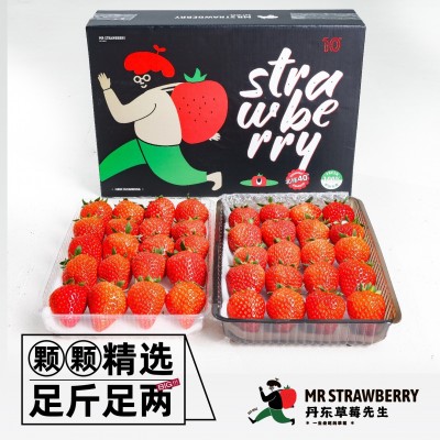 丹东草莓先生马家岗秸秆99奶油新鲜红颜大果东港九九牛奶礼盒装 1件图3