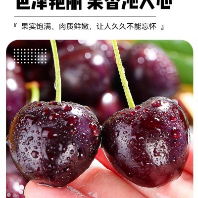 智利车厘子新鲜水果包邮5斤原箱礼盒当季整箱孕妇3j进口5j樱桃4Jj 1件图5