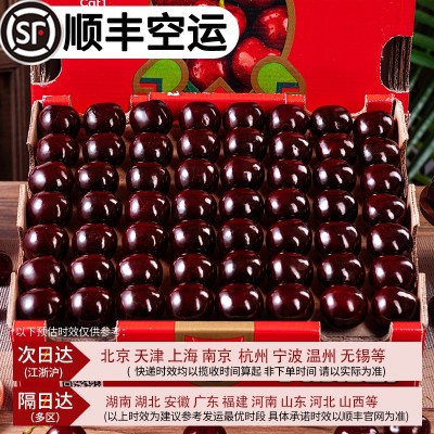 大连美早大樱桃现货顺丰空运5斤新鲜水果当季整箱4jjjj国产车厘子 1件