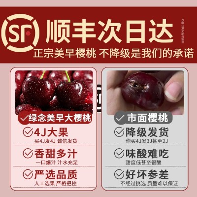 大连美早大樱桃现货顺丰空运5斤新鲜水果当季整箱4jjjj国产车厘子 1件图4