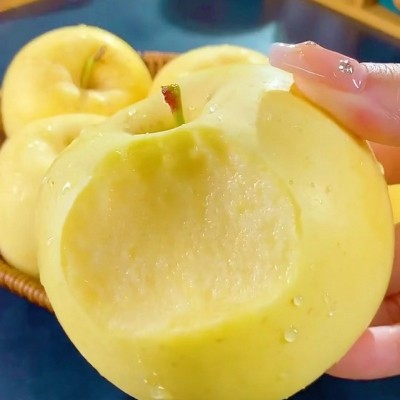 正宗山东烟台奶油黄金富士产地直发脆甜可口新鲜采摘秋季鲜果直发 1箱图5