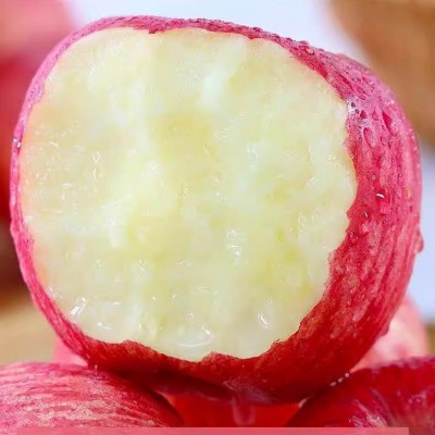 烟台红富士苹果斤应当季新鲜水果整箱山东栖霞脆甜冰糖心丑平果 1箱