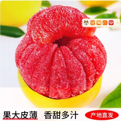 柚子红心柚水果福建平和红肉蜜柚10斤新鲜葡萄三红琯溪柚整箱包邮 9斤图4