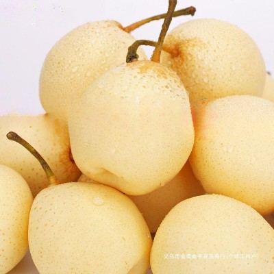 鸭梨斤装3整箱水晶梨5薄皮当季新鲜水果正宗包邮10河北梨子 1件图3