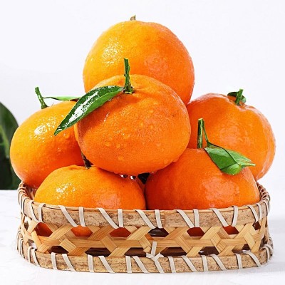 四川甘平柑橘皇后新鲜水果批发直发一件代发整箱包邮非耙耙柑 5斤图5