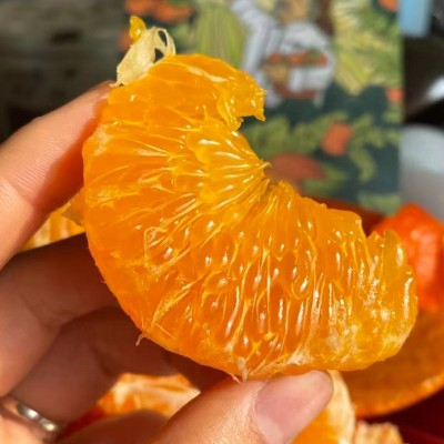 正宗四川眉山甘平柑橘皇后新鲜水果批发整箱当季包邮非粑粑柑桔子 2斤图3