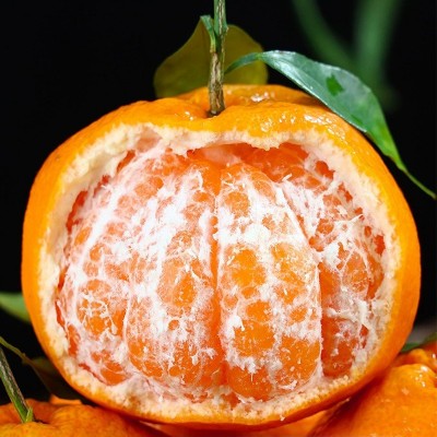 春见耙耙柑四川眉山正宗爆浆新鲜特级大果现摘包邮粑粑柑桔橘子 4.5斤图4