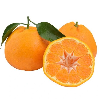 正宗四川春见耙耙柑新鲜孕妇水果批发当季整箱粑粑柑橘桔子包邮 4.5斤图5