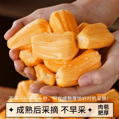 越南进口红肉菠萝蜜整个精选大果 当季热带脆甜水果顺丰整箱包邮 6-8斤