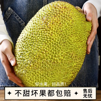 越南进口红肉菠萝蜜整个精选大果 当季热带脆甜水果顺丰整箱包邮 6-8斤图4