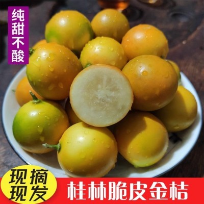 正宗广西融安脆皮金桔现摘新鲜水果当季甜蜜小金柑桔金橘整箱包邮 3斤图3