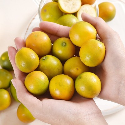 正宗广西融安脆皮金桔现摘新鲜水果当季甜蜜小金柑桔金橘整箱包邮 3斤图2