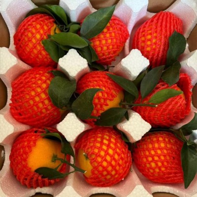 爱媛38号果冻橙四川当季新鲜水果孕妇手剥柑橘现摘现发 5斤图3