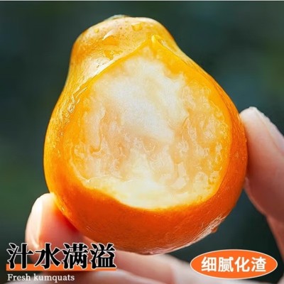 广西融安脆蜜金柑纯甜第三代脆蜜金桔当季水果批发 2斤图3
