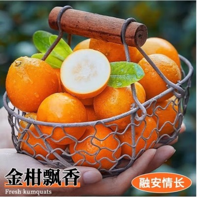 广西融安脆蜜金柑纯甜第三代脆蜜金桔当季水果批发 2斤图2
