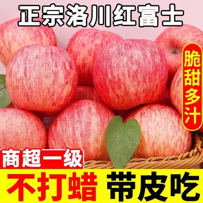 【洛川直发】陕西正宗洛川苹果新鲜水果包邮一件代发水果 5斤图3