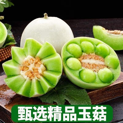 源头供应冰漆淋玉菇甜瓜新鲜香瓜蜜瓜当季水果包邮一件代发 5斤图3