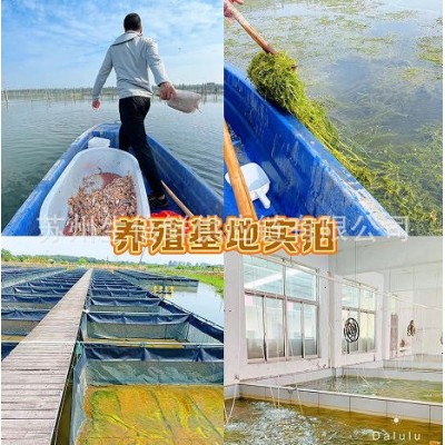 苏州原产地大闸蟹一手货源招代理中秋礼品鲜活螃蟹企业团购图2