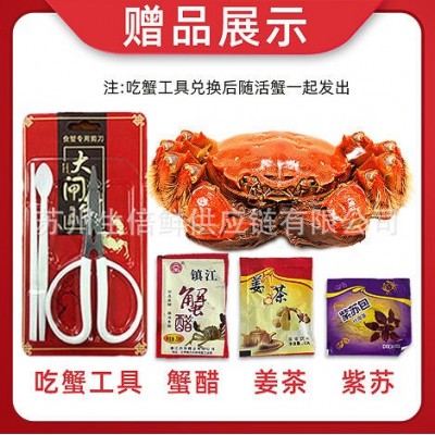 苏州原产地大闸蟹一手货源招代理中秋礼品鲜活螃蟹企业团购图4