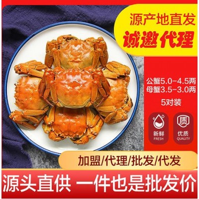 阳澄湖镇大闸蟹千元礼品可选 批发价招代理合作礼品公司企 业采购