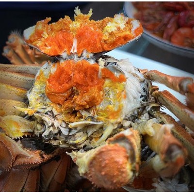 大闸蟹阳澄湖厂家供应链鲜活螃蟹毛蟹湖蟹直招代理礼盒诚邀批发