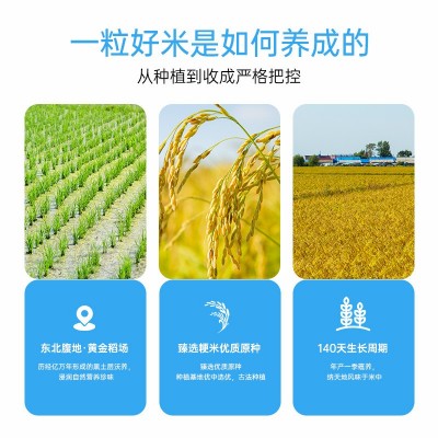 丰爽蓝袋五常大米5kg双层真空装家用送礼大米东北特产新米批发图2