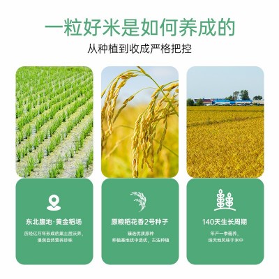 丰爽绿袋东北五常大米10斤稻花香2号 龙凤核心双层真空装大米5kg