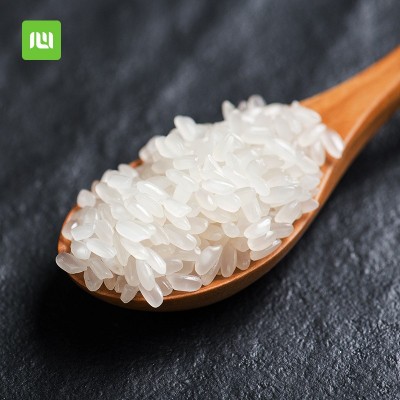 东北五常大米2.5kg5斤新米大米5kg一袋稻花长粒香厂家批发代发图3