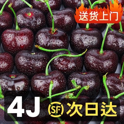 智利进口车厘子5斤新鲜水果当季整箱包邮孕妇大樱桃礼盒4j3特大果图3