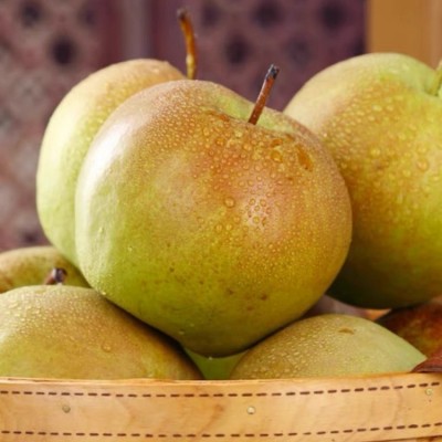 山西玉露香梨水果 果园直发10斤整箱批发现摘梨子脆甜应季水果酥图3