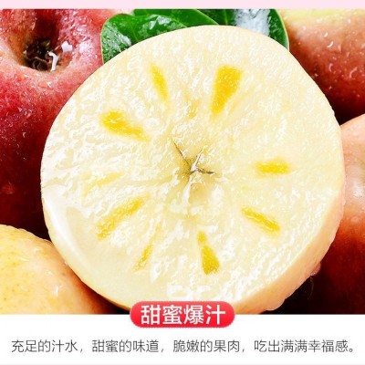 山西红富士苹果10斤装应季新鲜水果糖心脆甜多汁果园现摘整箱批发