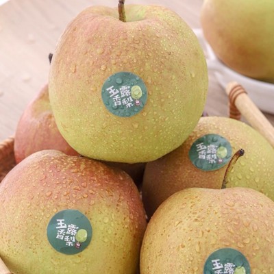 正宗山西玉露香梨新鲜水果当季果园现摘香梨雪梨香甜可口整箱批发图3