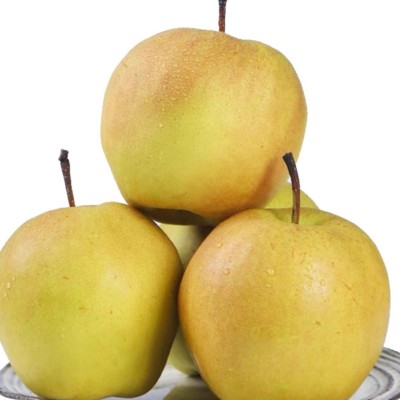 正宗山西玉露香梨新鲜水果当季果园现摘香梨雪梨香甜可口整箱批发图4