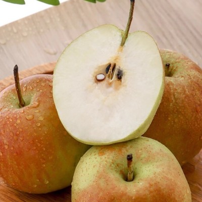 正宗山西玉露香梨新鲜水果当季果园现摘香梨雪梨香甜可口整箱批发图5