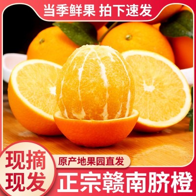 【顺丰包邮】正宗江西赣南脐橙薄皮甜橙子新鲜水果礼盒装整箱批发图5