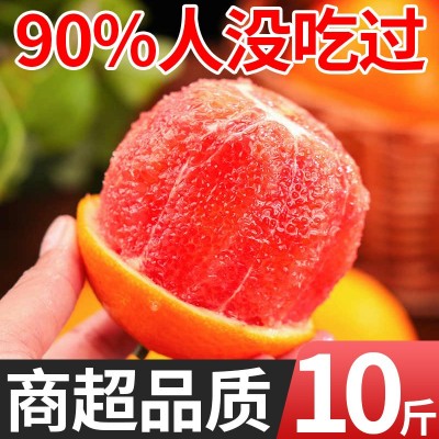 【中华血橙】赣南血橙红肉橙子当季新鲜水果红心脐橙整箱批发包邮图2