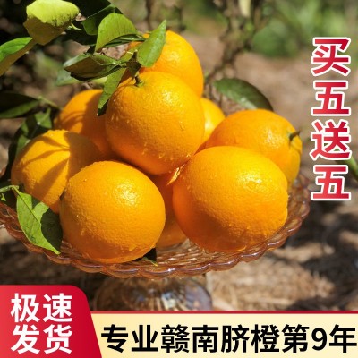 【超级供应】赣南脐橙江西橙子现摘薄皮当季孕妇新鲜水果批发图2