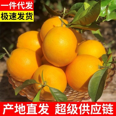【超级供应】赣南脐橙江西橙子现摘薄皮当季孕妇新鲜水果批发