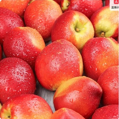 山东青州蜜桃脆桃硬桃新鲜桃子毛桃甜桃青桃硬桃孕妇脆甜水蜜桃图5