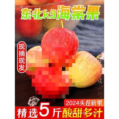 YF新鲜孕妇小苹果包邮现摘斤脆5沙果当季整箱海棠果水果酸甜东北k