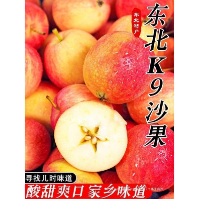 YF新鲜孕妇小苹果包邮现摘斤脆5沙果当季整箱海棠果水果酸甜东北k图3