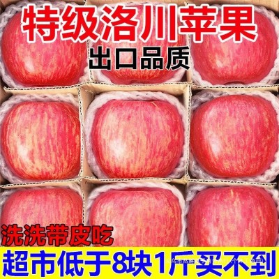 【洛川苹果】陕西洛川红富士脆甜新鲜苹果水果批发一整箱批发零售图2