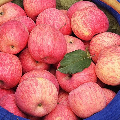 [脆甜]陕西正宗洛川红富士苹果新鲜应季水果冰糖心苹果批发一整箱图4