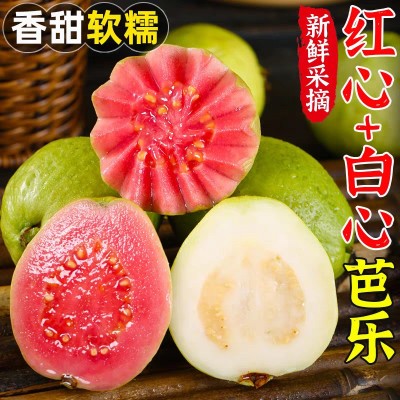 广西双拼芭乐番石榴水果新鲜整箱当季红心芭乐果软糯脆甜包邮巴乐图3