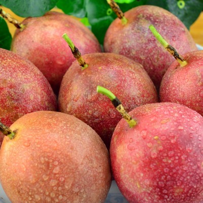 广西新鲜紫色百香果5斤大果中果整箱热带水果白香果新鲜直达图2